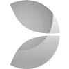 evo logo